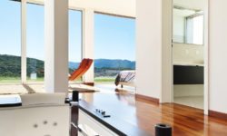 Etiam commodo convallis