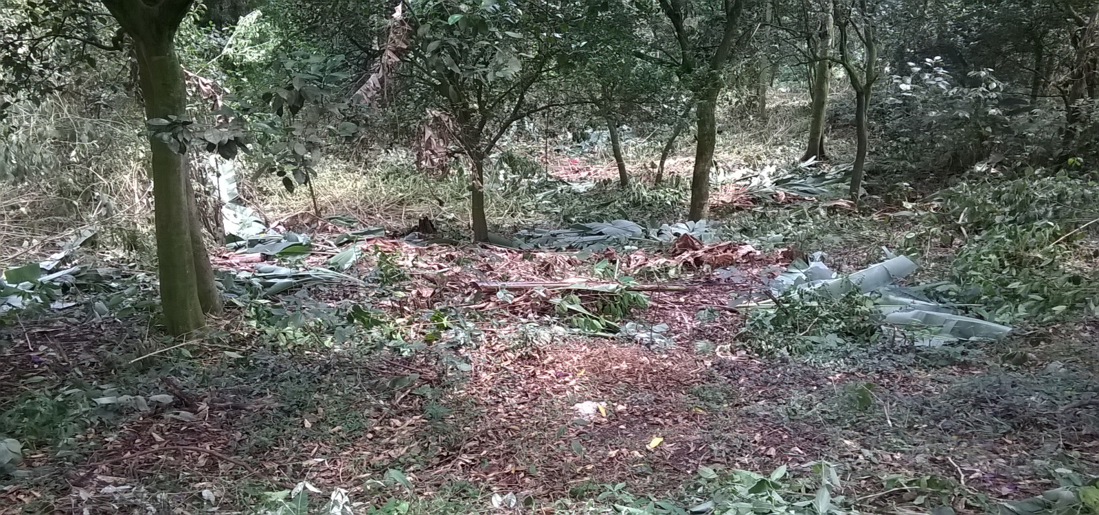 Cundinamarca, La Mesa, 0 ,0,Finca,Venta,4416