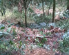 Cundinamarca, La Mesa, 0 ,0,Finca,Venta,4416