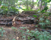 Cundinamarca, La Mesa, 0 ,0,Finca,Venta,4416