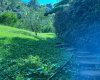 VEREDA SAN JUAN, Cundinamarca, La vega, Km 6 abajo de la Vega, 4 Habitaciones Habitaciones,2 BathroomsBathrooms,Finca,Venta,VEREDA SAN JUAN,5113