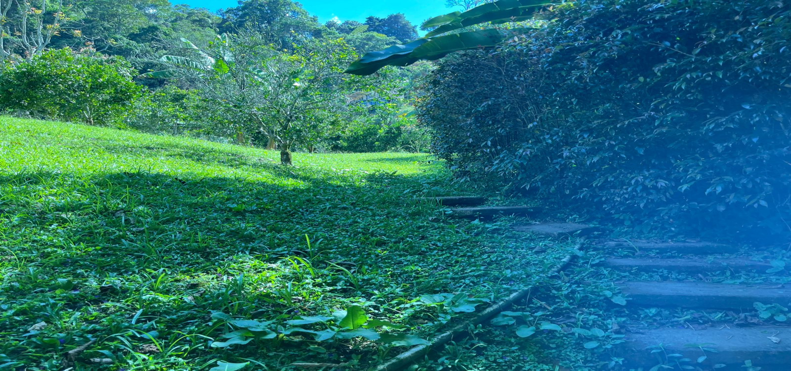 VEREDA SAN JUAN, Cundinamarca, La vega, Km 6 abajo de la Vega, 4 Habitaciones Habitaciones,2 BathroomsBathrooms,Finca,Venta,VEREDA SAN JUAN,5113