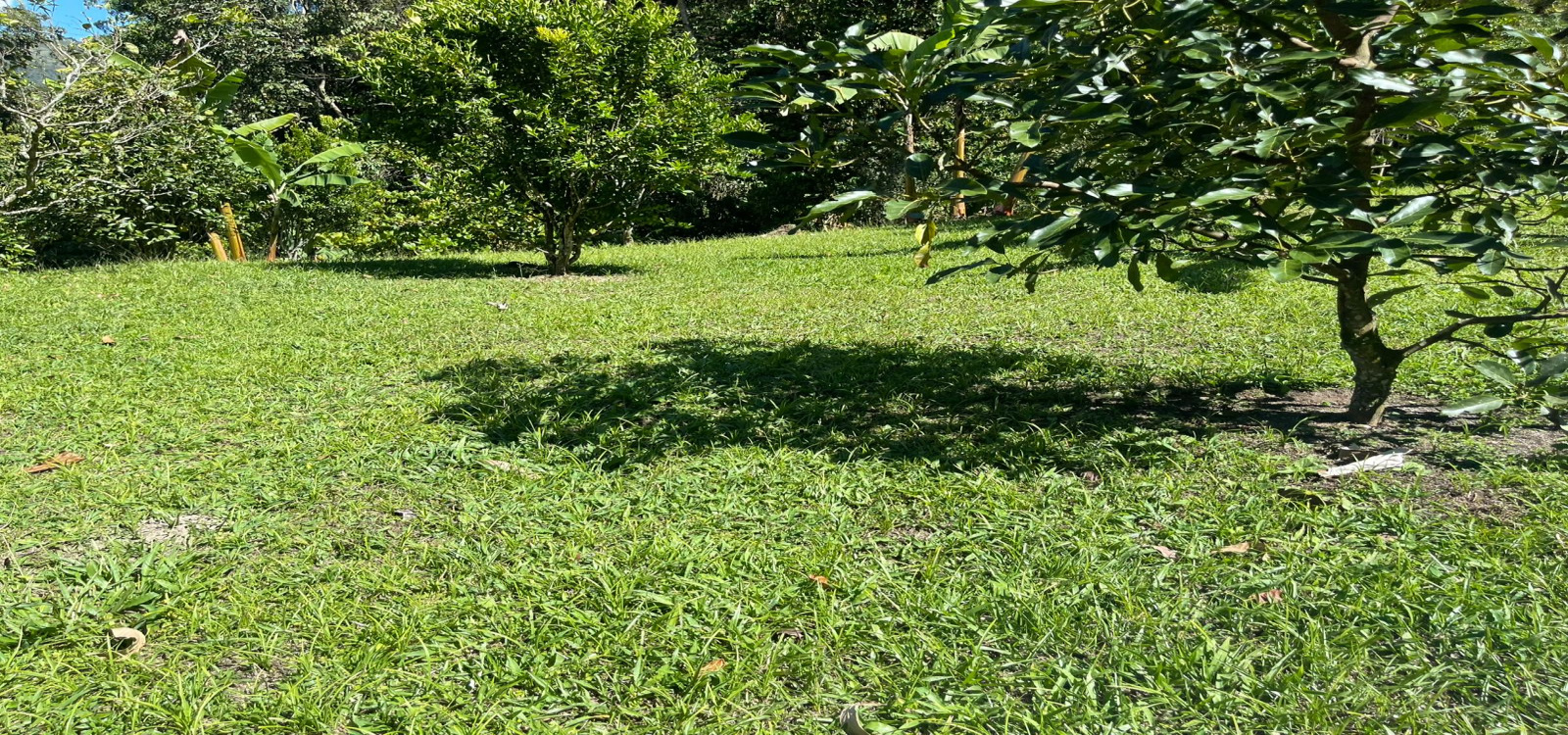 VEREDA SAN JUAN, Cundinamarca, La vega, Km 6 abajo de la Vega, 4 Habitaciones Habitaciones,2 BathroomsBathrooms,Finca,Venta,VEREDA SAN JUAN,5113