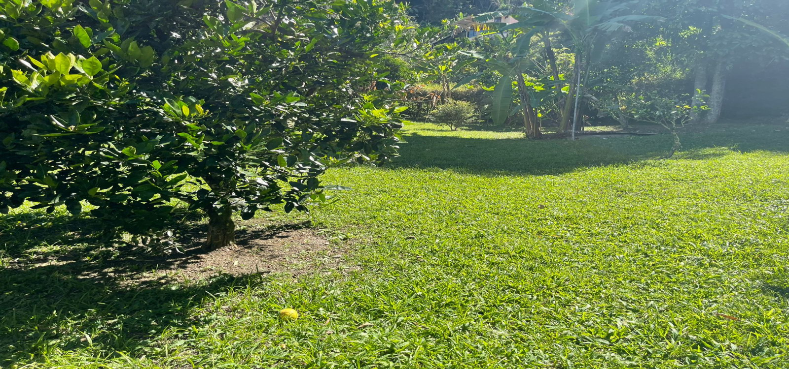 VEREDA SAN JUAN, Cundinamarca, La vega, Km 6 abajo de la Vega, 4 Habitaciones Habitaciones,2 BathroomsBathrooms,Finca,Venta,VEREDA SAN JUAN,5113
