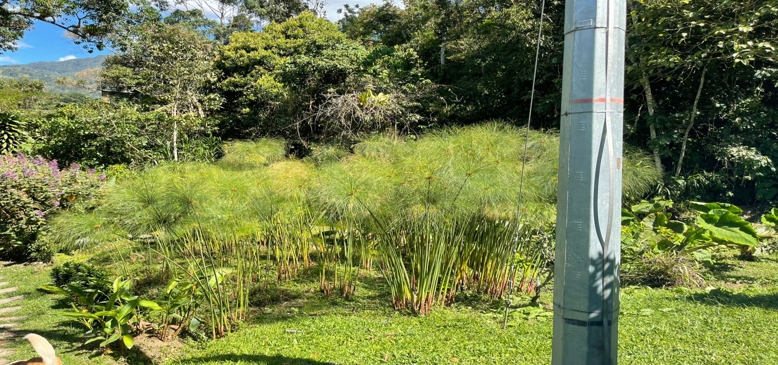 VEREDA SAN JUAN, Cundinamarca, La vega, Km 6 abajo de la Vega, 4 Habitaciones Habitaciones,2 BathroomsBathrooms,Finca,Venta,VEREDA SAN JUAN,5113