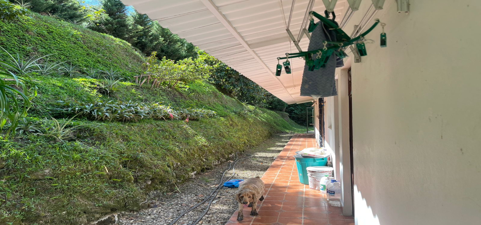 VEREDA SAN JUAN, Cundinamarca, La vega, Km 6 abajo de la Vega, 4 Habitaciones Habitaciones,2 BathroomsBathrooms,Finca,Venta,VEREDA SAN JUAN,5113