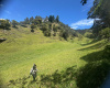 KLM 7 VEREDA EL CHARCO, Cundinamarca, Sibate, El Retiro, 4 Habitaciones Habitaciones,2 BathroomsBathrooms,Finca,Venta,VEREDA EL CHARCO,5117