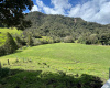 FINCA LA QUEBRADA KILOMETRO 8, Cundinamarca-La Calera, Vereda el hato, La calera, 5 Habitaciones Habitaciones,3 BathroomsBathrooms,Finca,Venta,KILOMETRO 8,5121